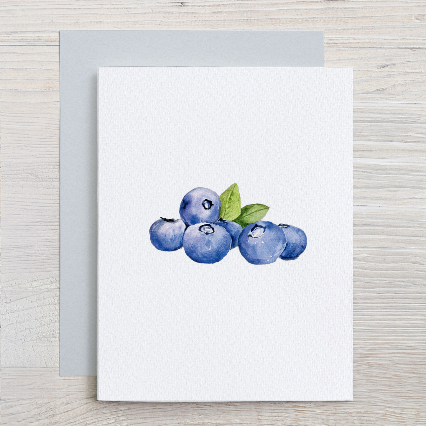 Coastal Maine Note Card Set (6 assorted designs)