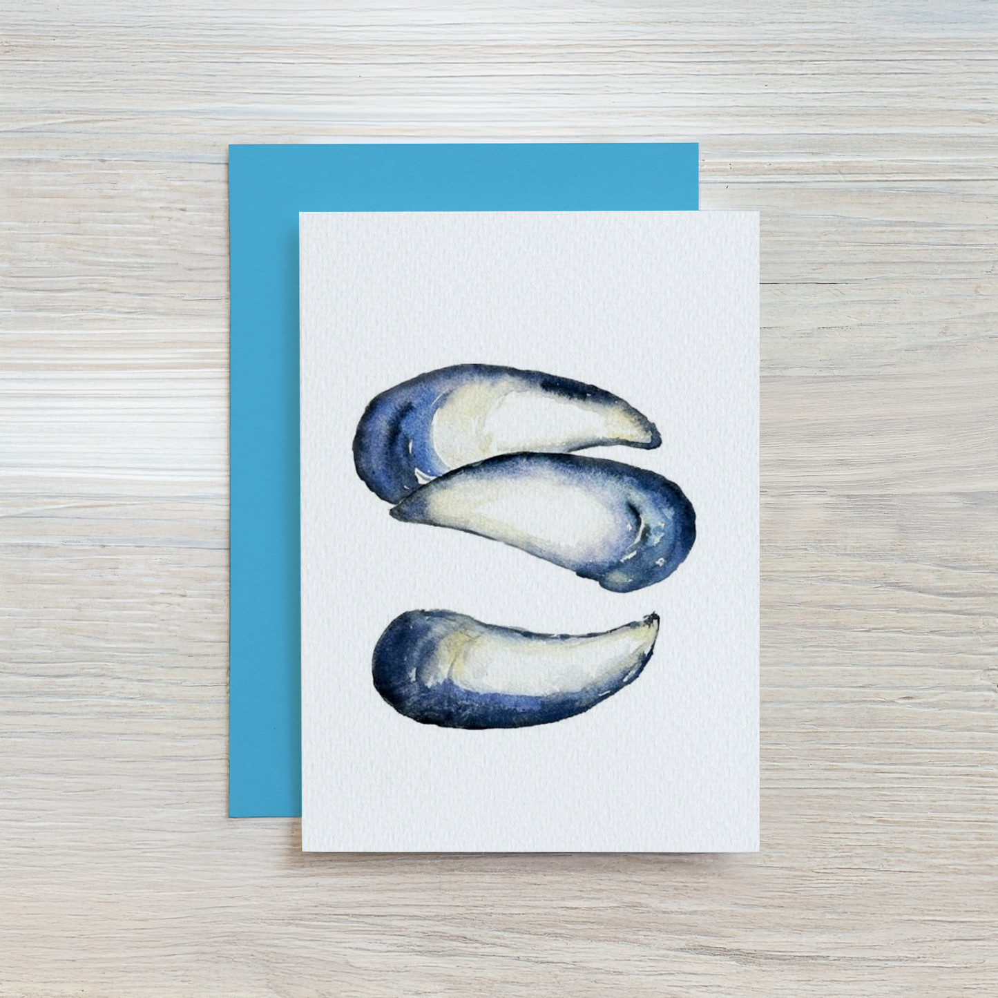 Mussel Shells Gift Enclosure Set