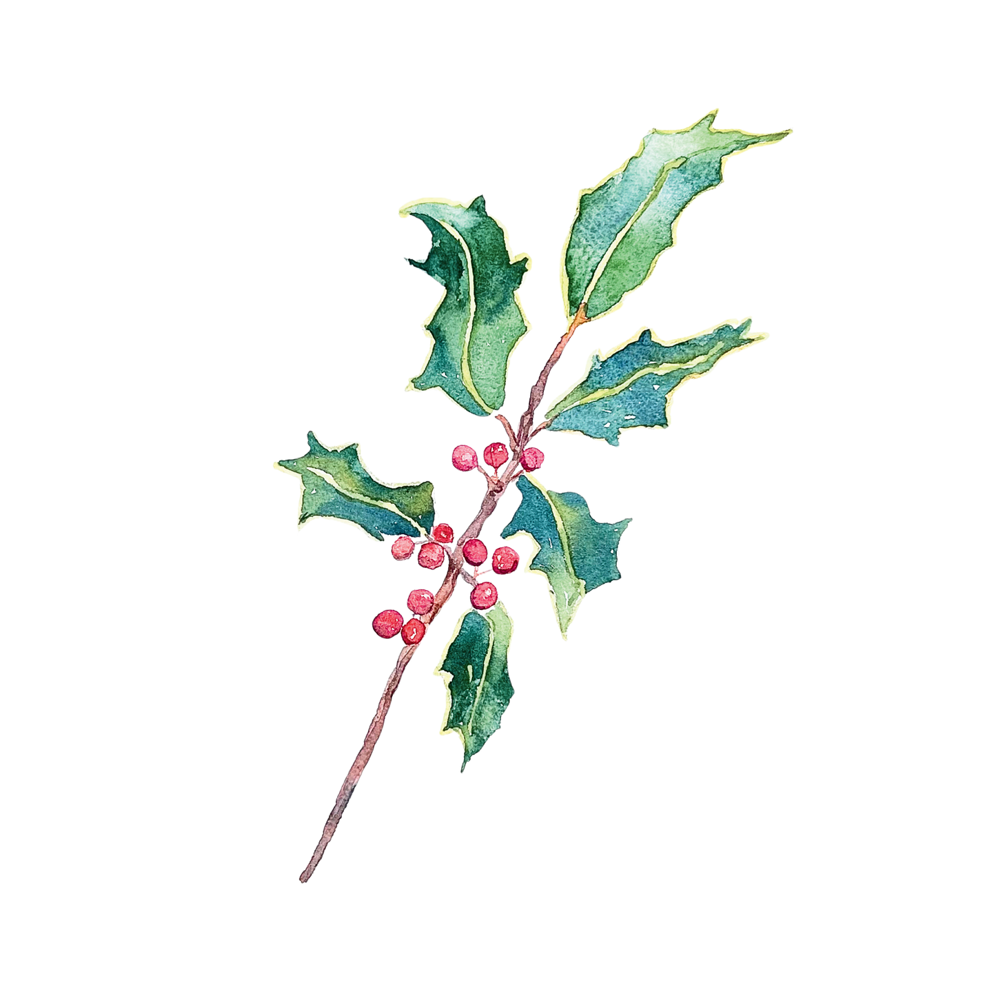 Holly Branch Holiday Note Card Set