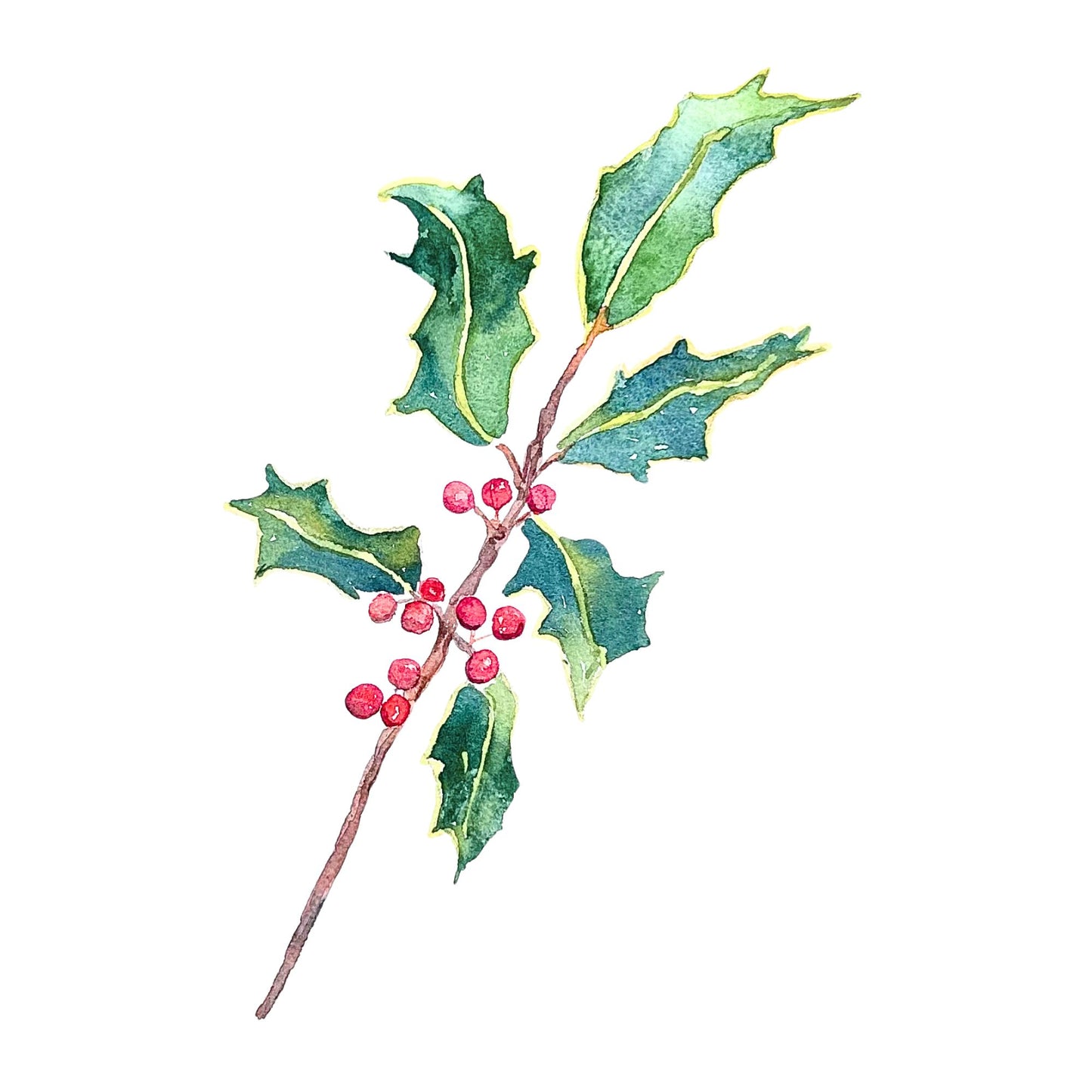 Holly Branch Gift Enclosure Card