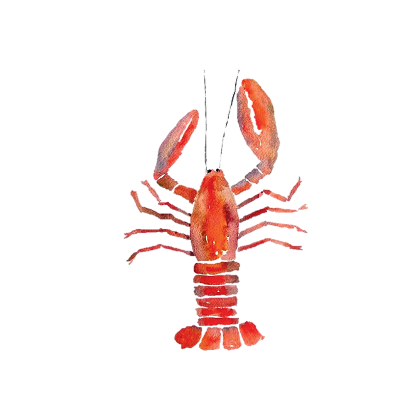 Lobster Shell Notepad
