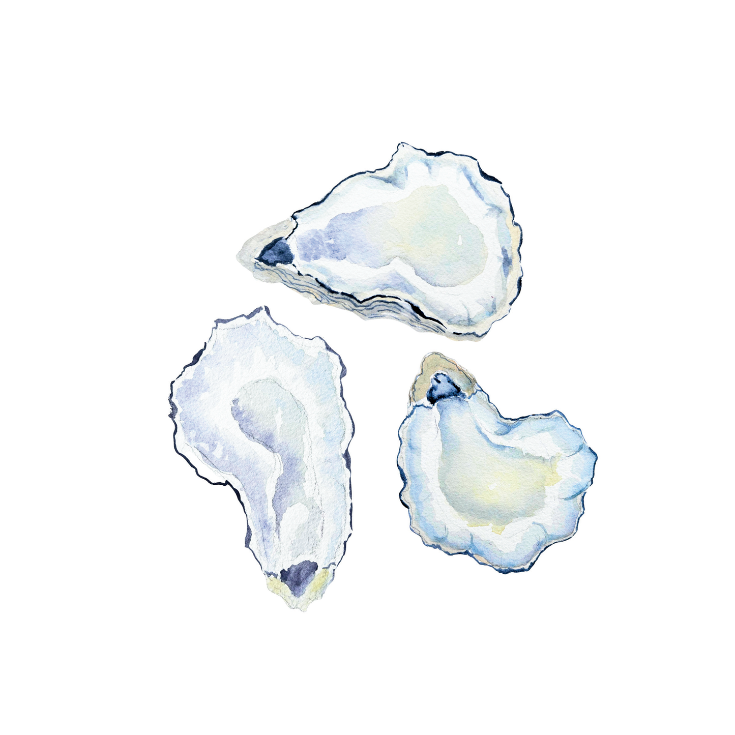 Oyster Shell Notepad