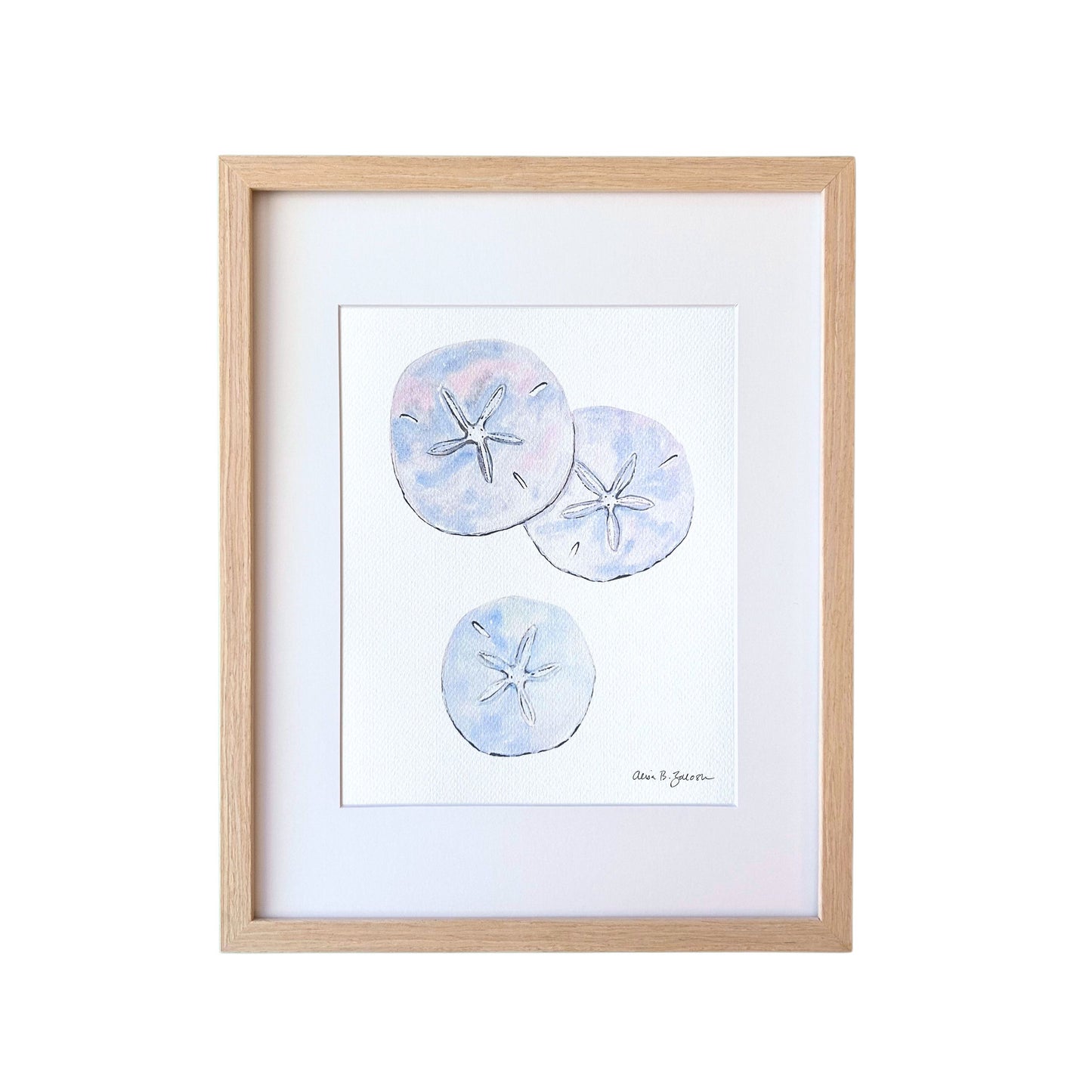 Sand Dollars Watercolor Art Print