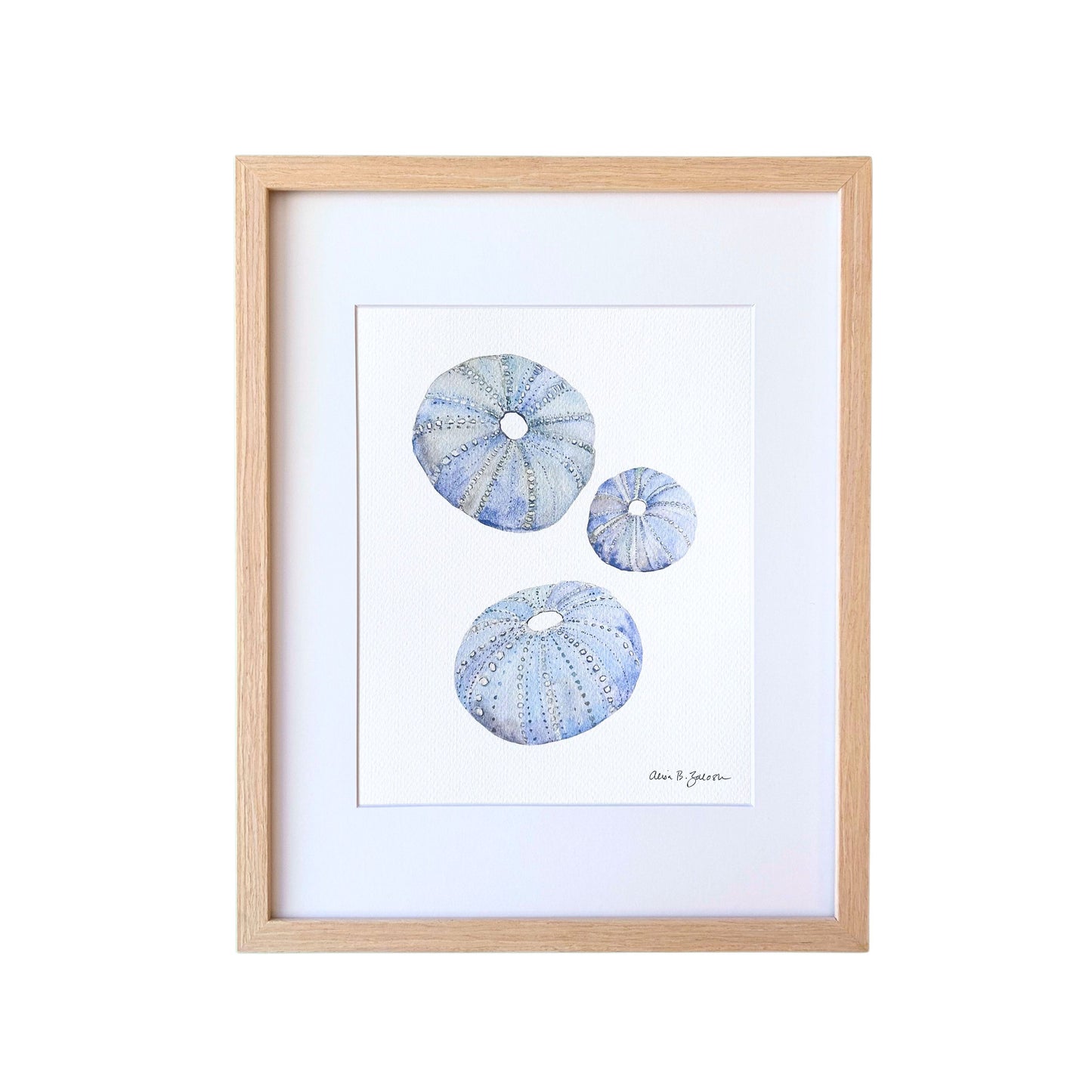 Sea Urchins Watercolor Art Print