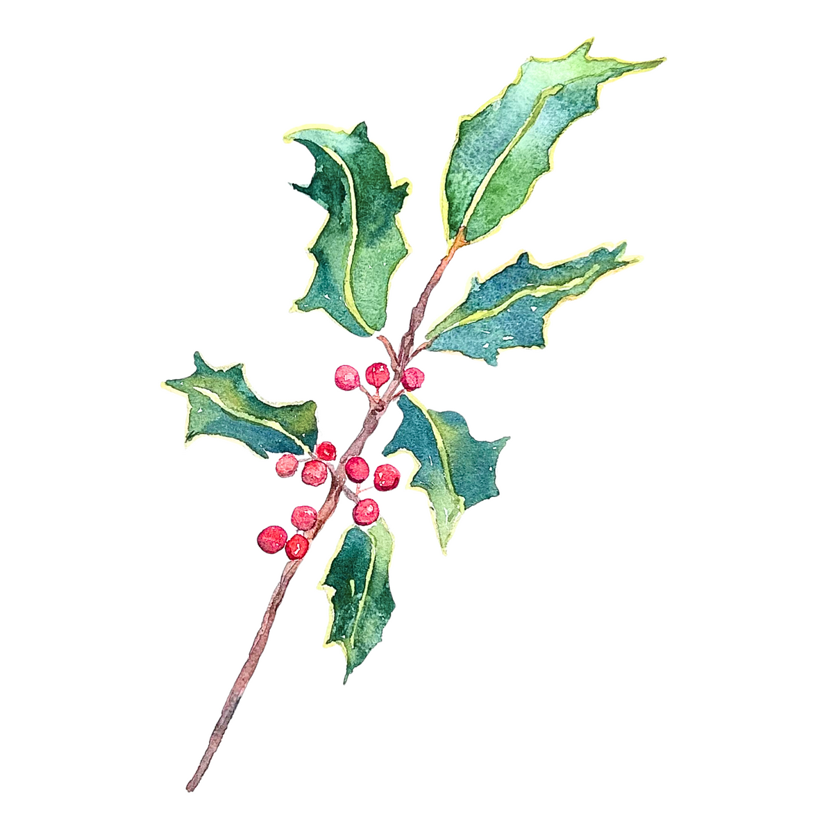 Holiday Botanicals Watercolor Note Card Set - Assorted Designs