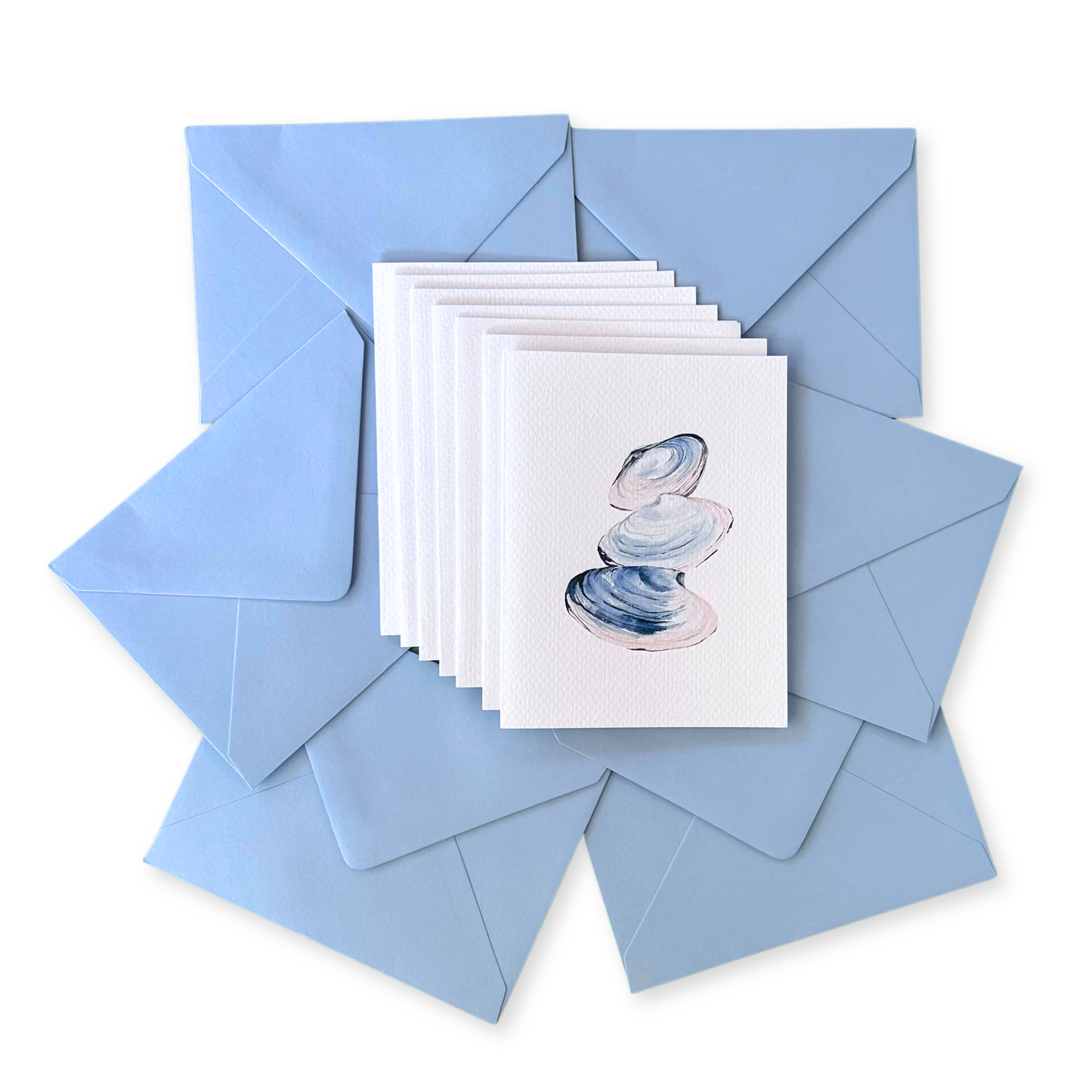 Clam Shells Watercolor Note Card Set