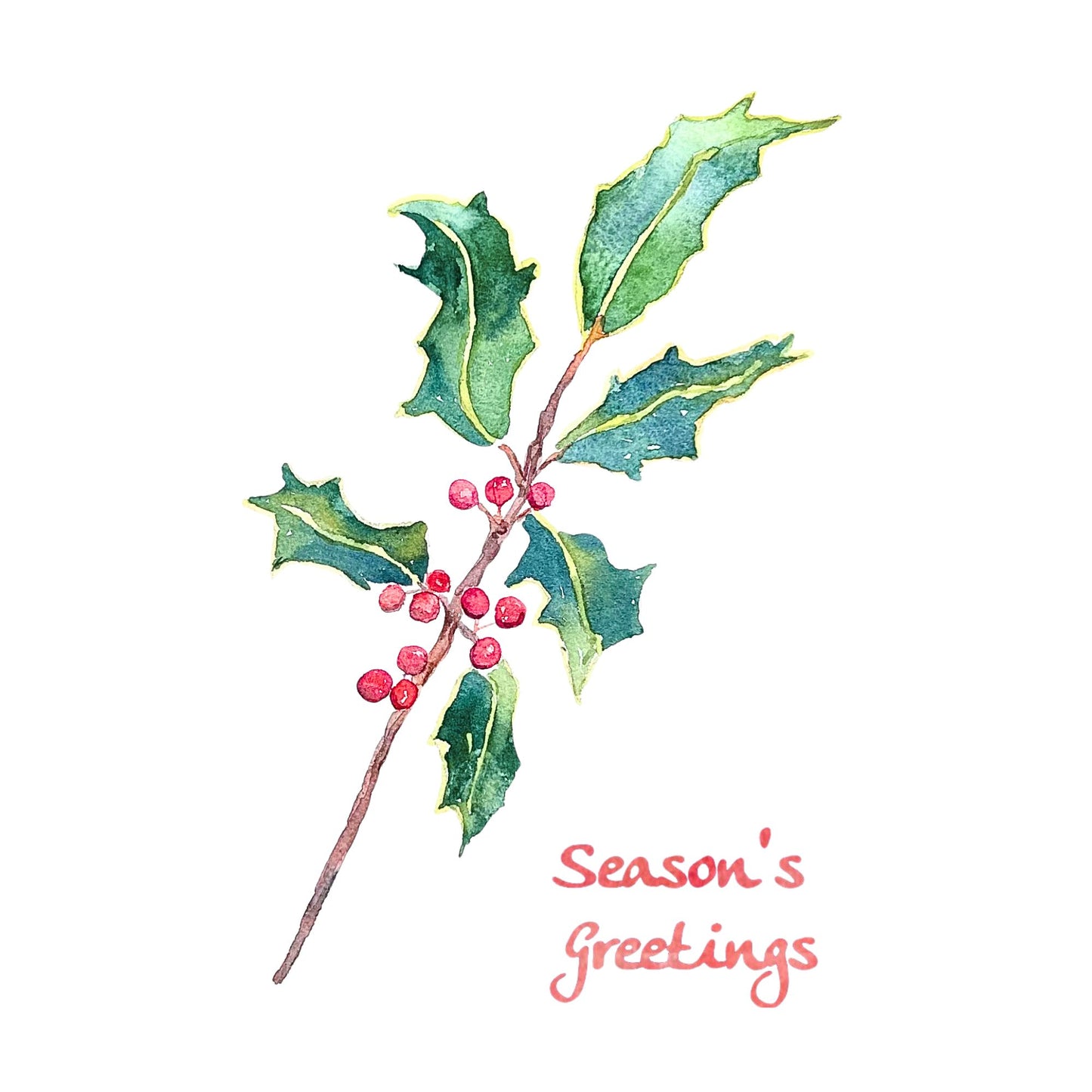Holly Branch "Season's Greetings" Note Card Set