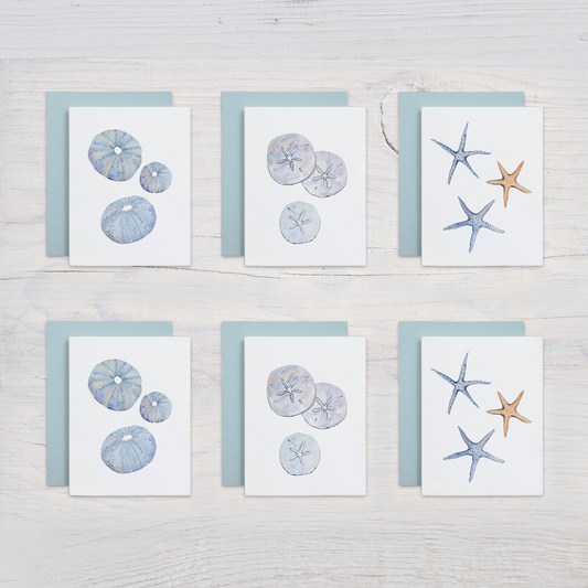 Beachcomber Note Card Set (Sand Dollars, Sea Urchins, Starfish)