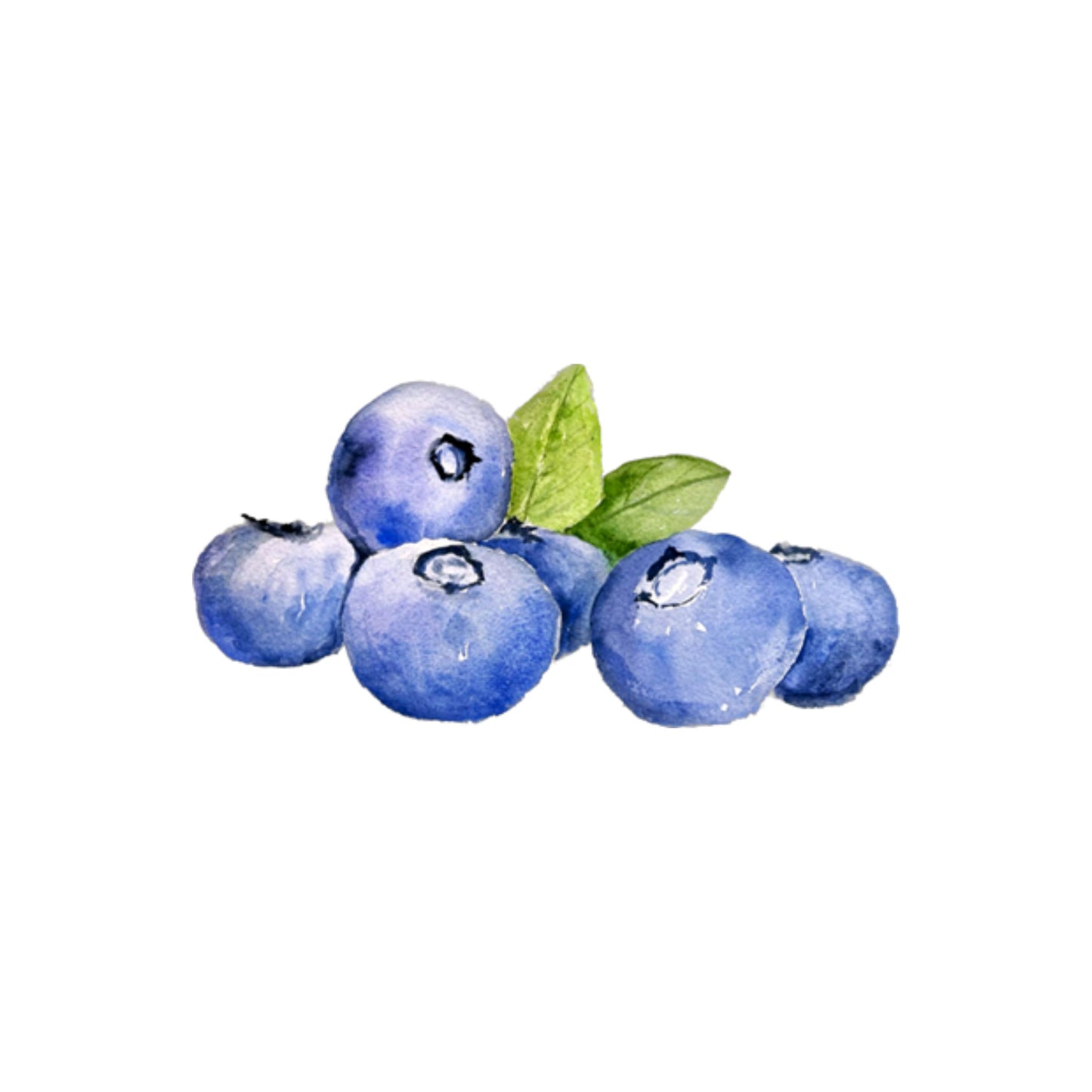Blueberry Notepad