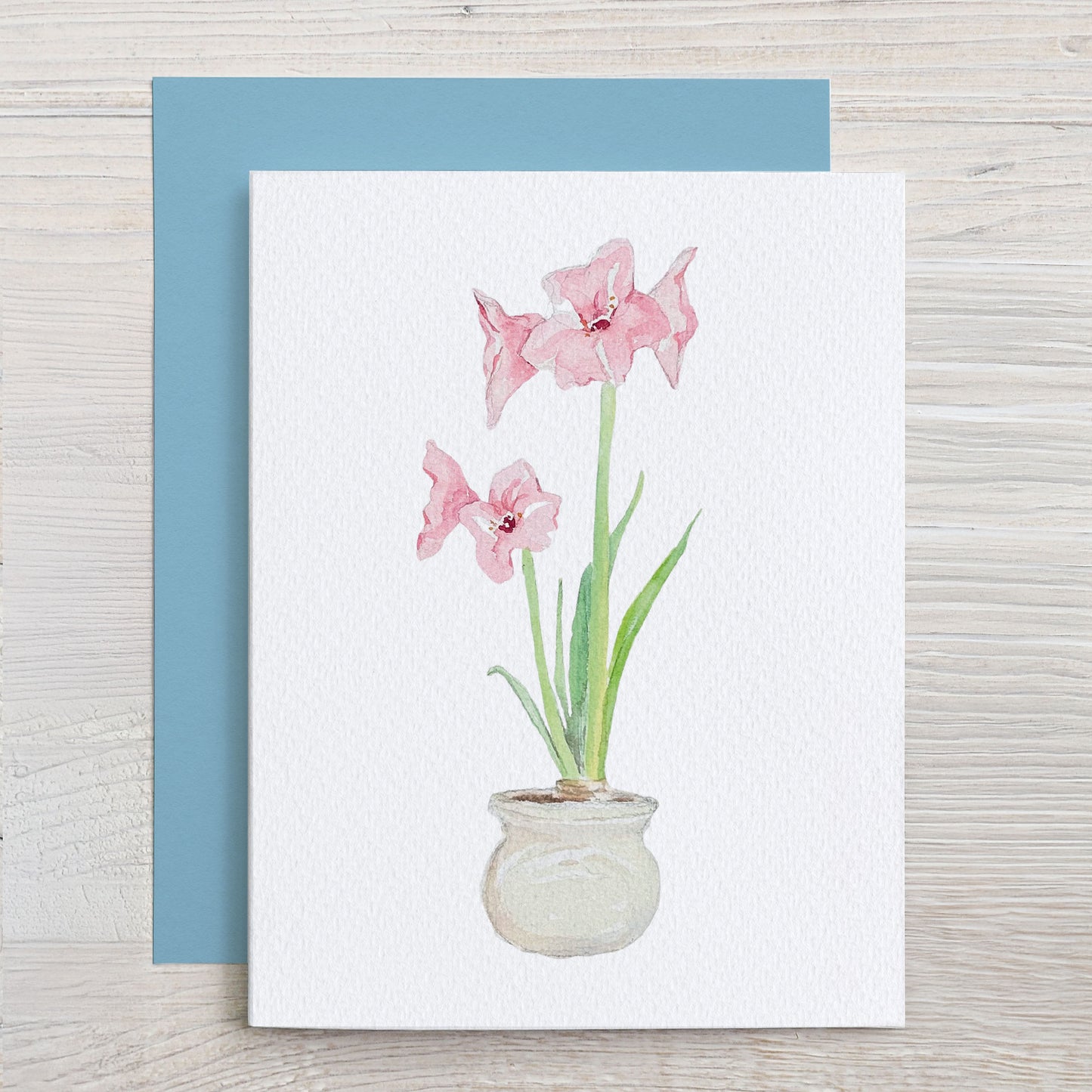 Watercolor Note Card Set  - Pink Amaryllis
