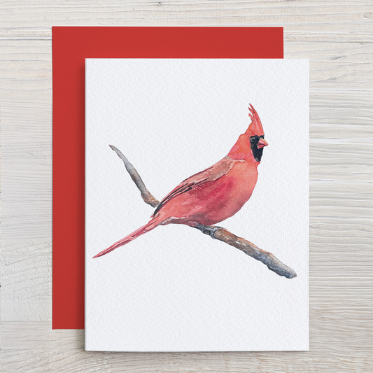 Red Cardinal Watercolor Note Card Set