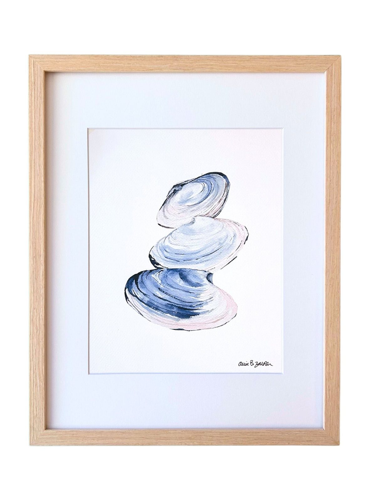 Watercolored Clam Shell Clam Shells Framed Watercolor Art Print – Waterline Studio
