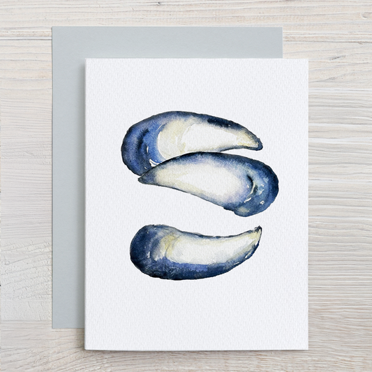 Mussel Shells Watercolor Note Card Set