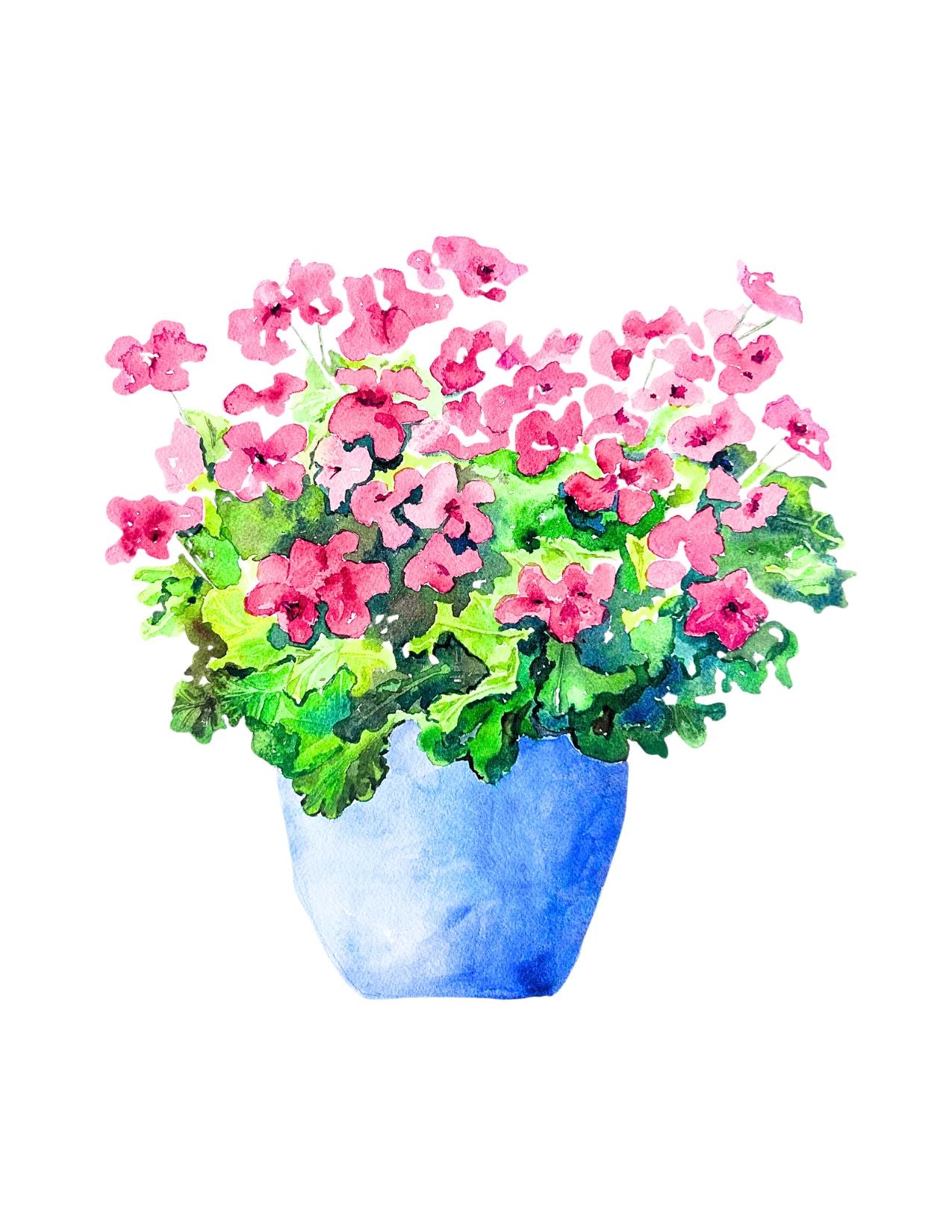 Watercolor Geraniums Note Card