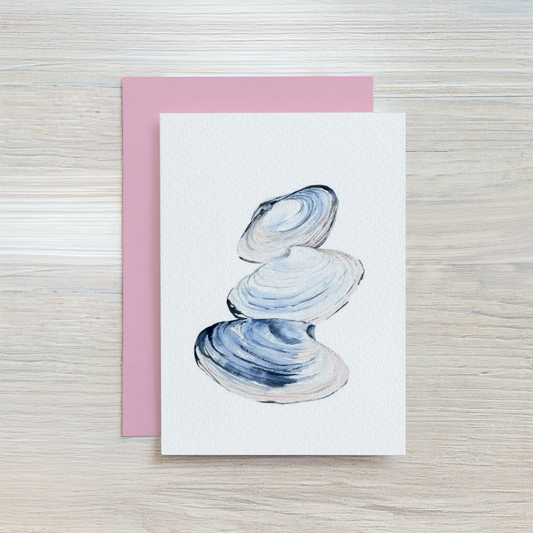 Clam Shells Gift Enclosure Set