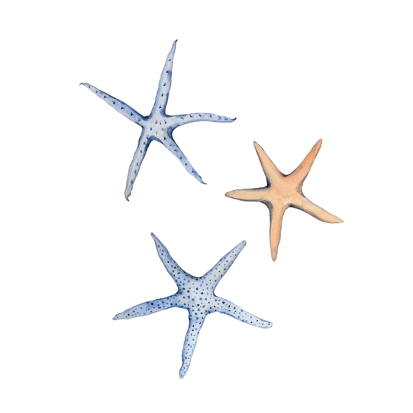 Starfish Watercolor Art Print