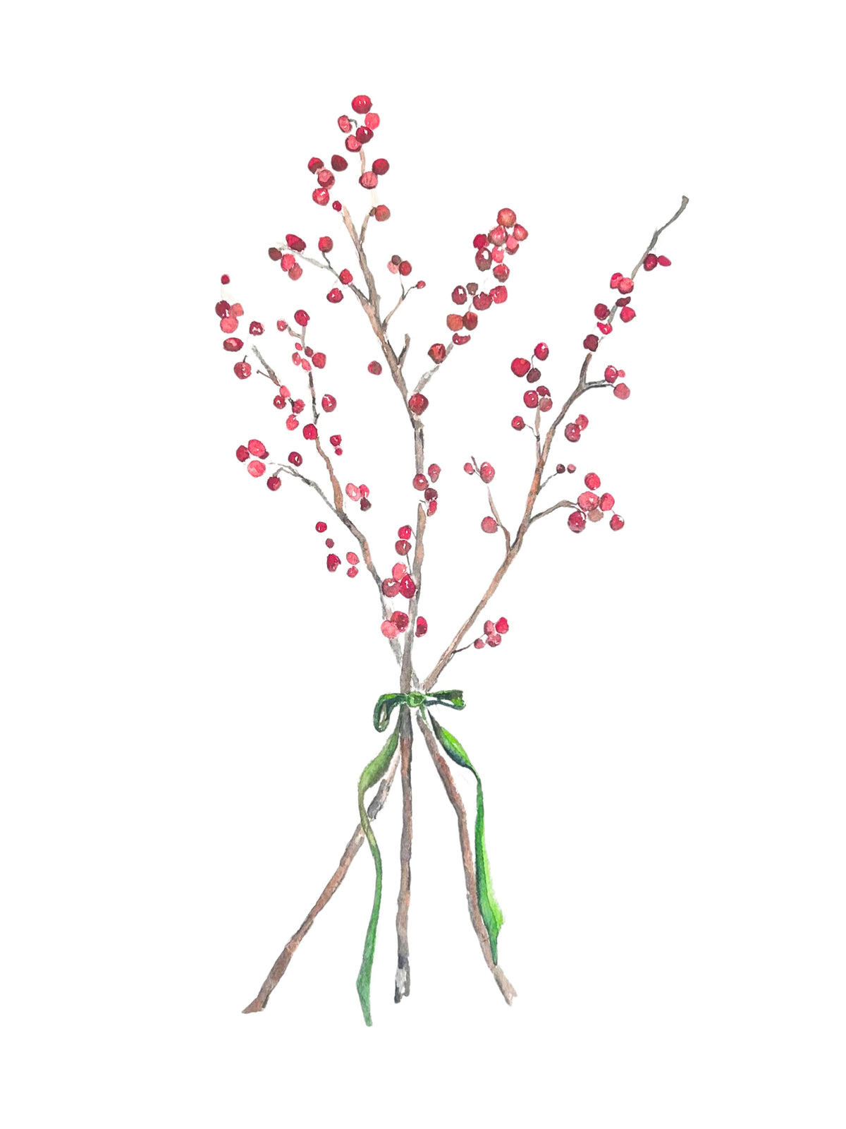 Holiday Botanicals Watercolor Note Card Set - Assorted Designs